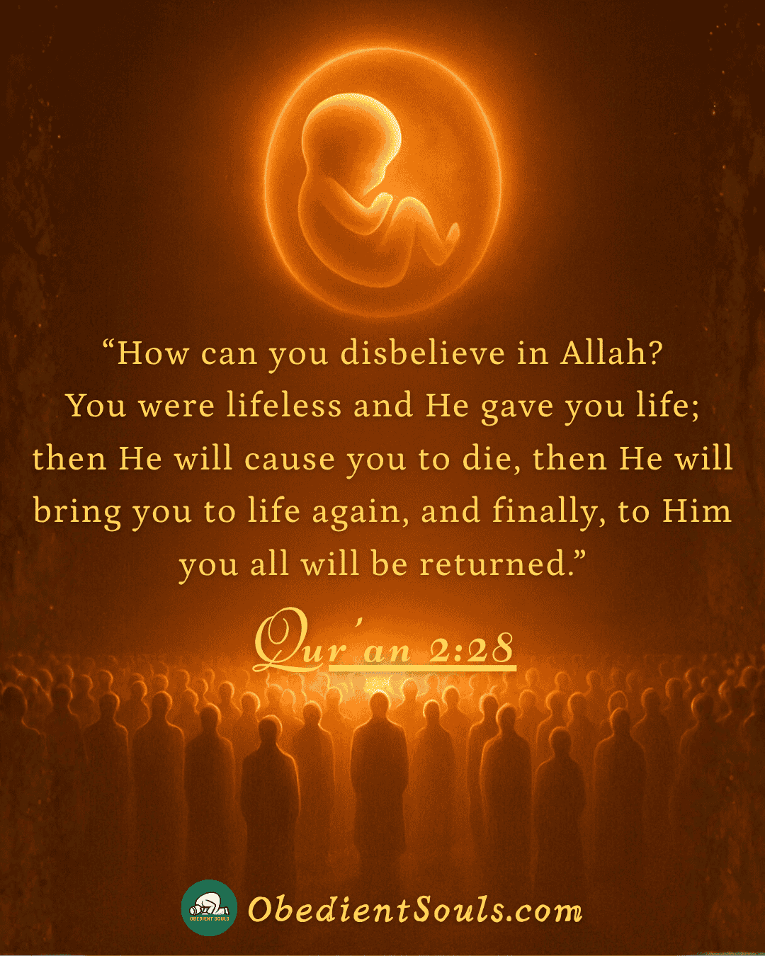 Qur'an : Chapter-2 (Surah Al-Baqarah) : Verse-28