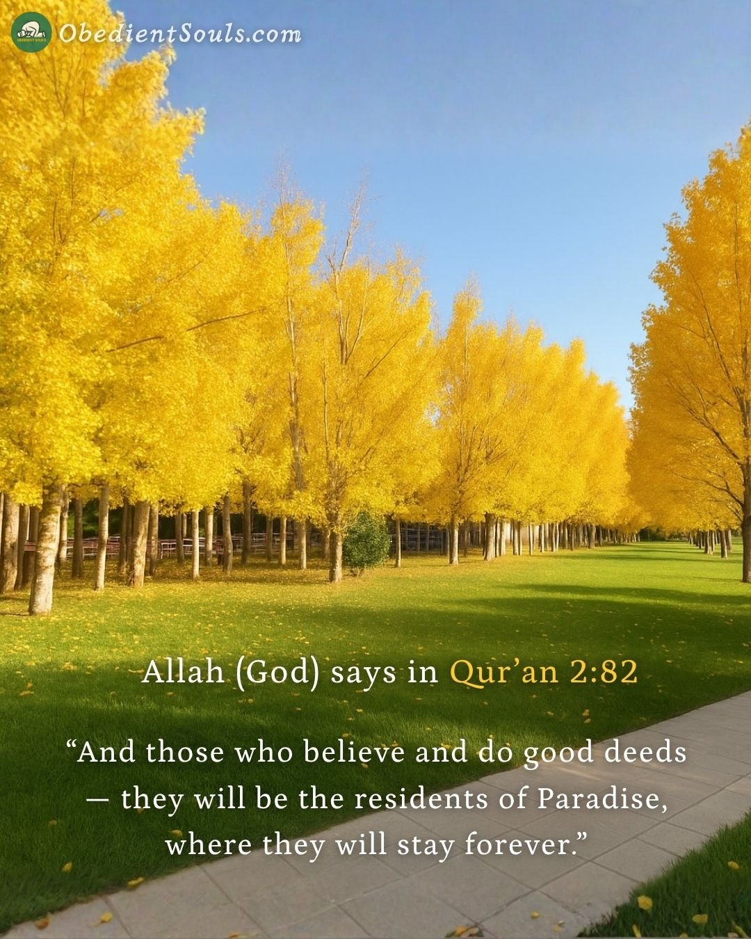 Qur'an : Chapter-2 (Surah Al-Baqarah) : Verse-82